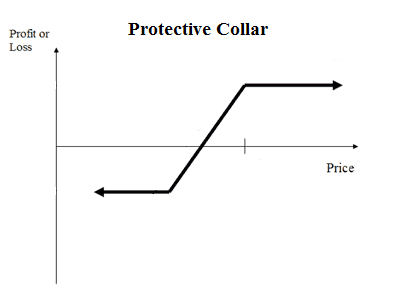 Protective Collar
