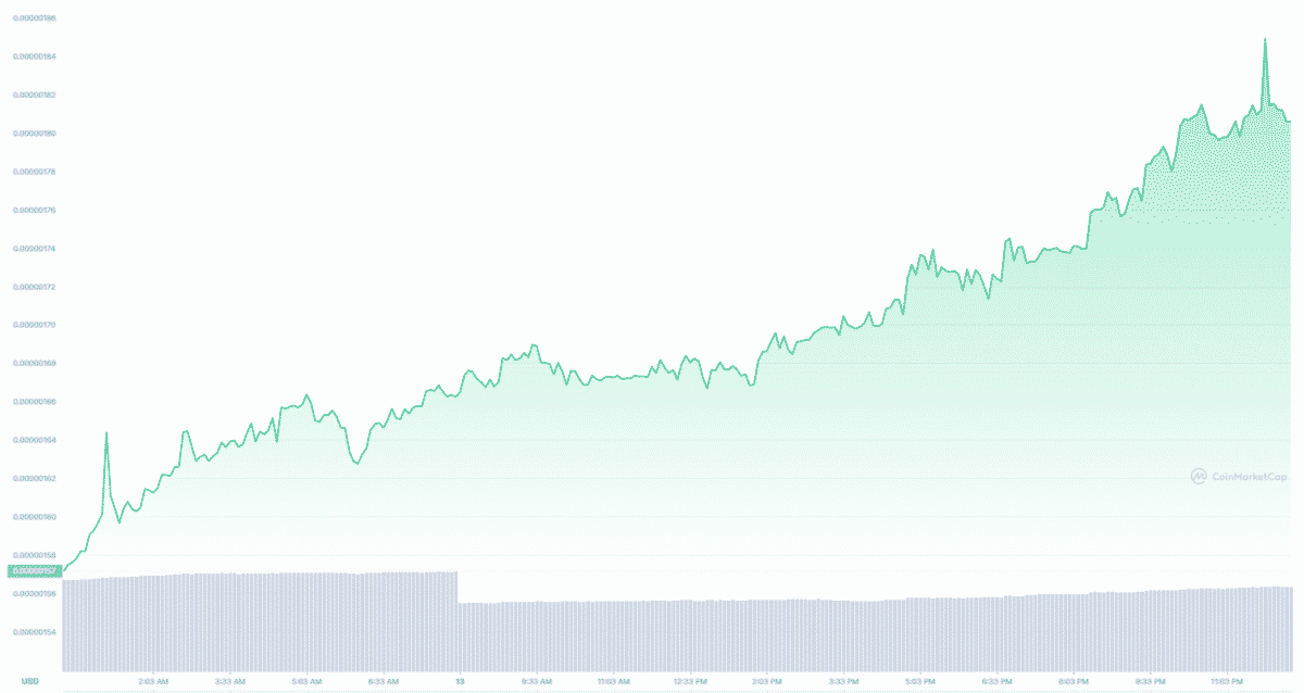 CATE/USD daily chart