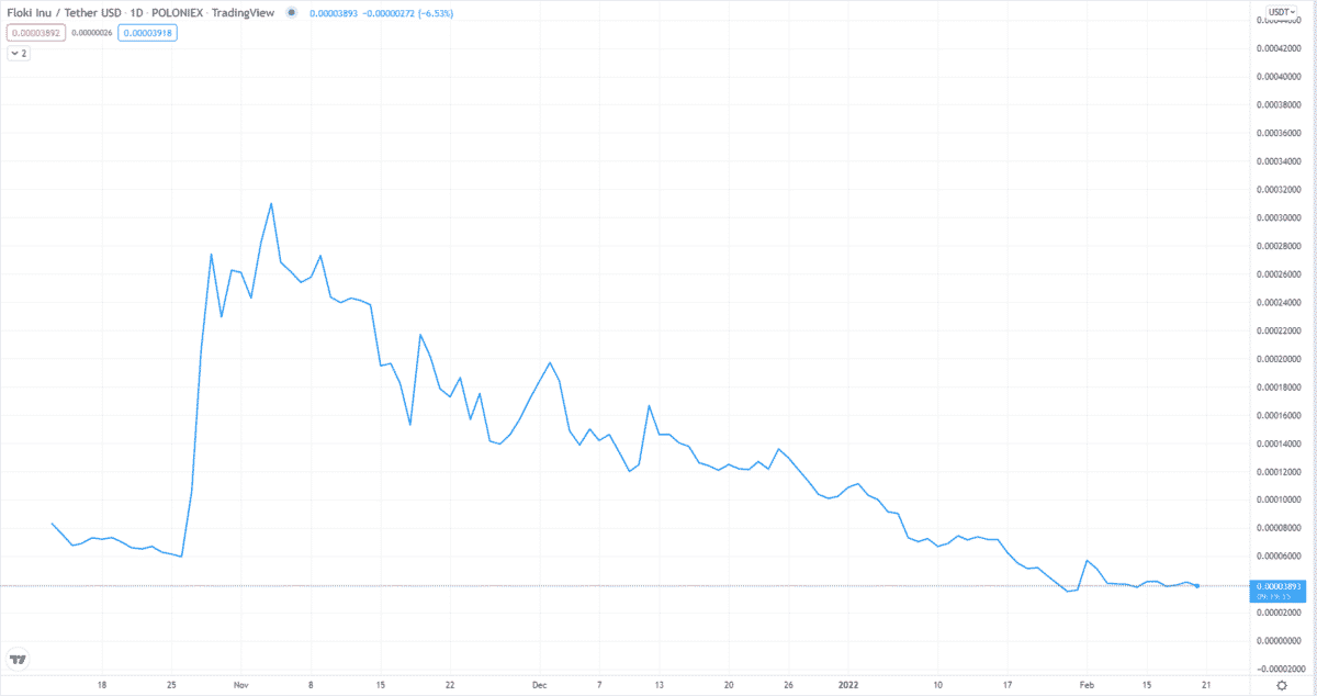 FLOKI/USD daily chart (1Y data)